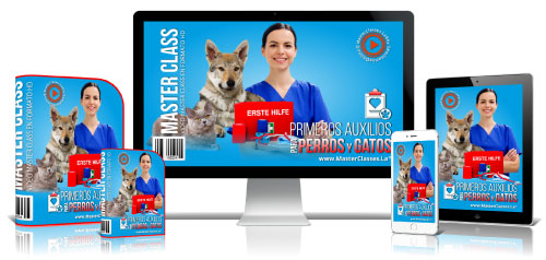 500primerosauxiliosparaperrosygatos