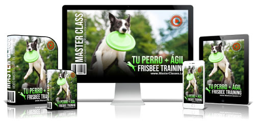500tu-perro-agil-frisbee-training