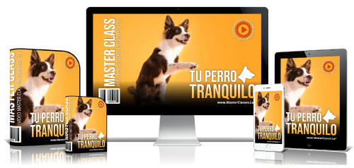 500tuperrointeligente