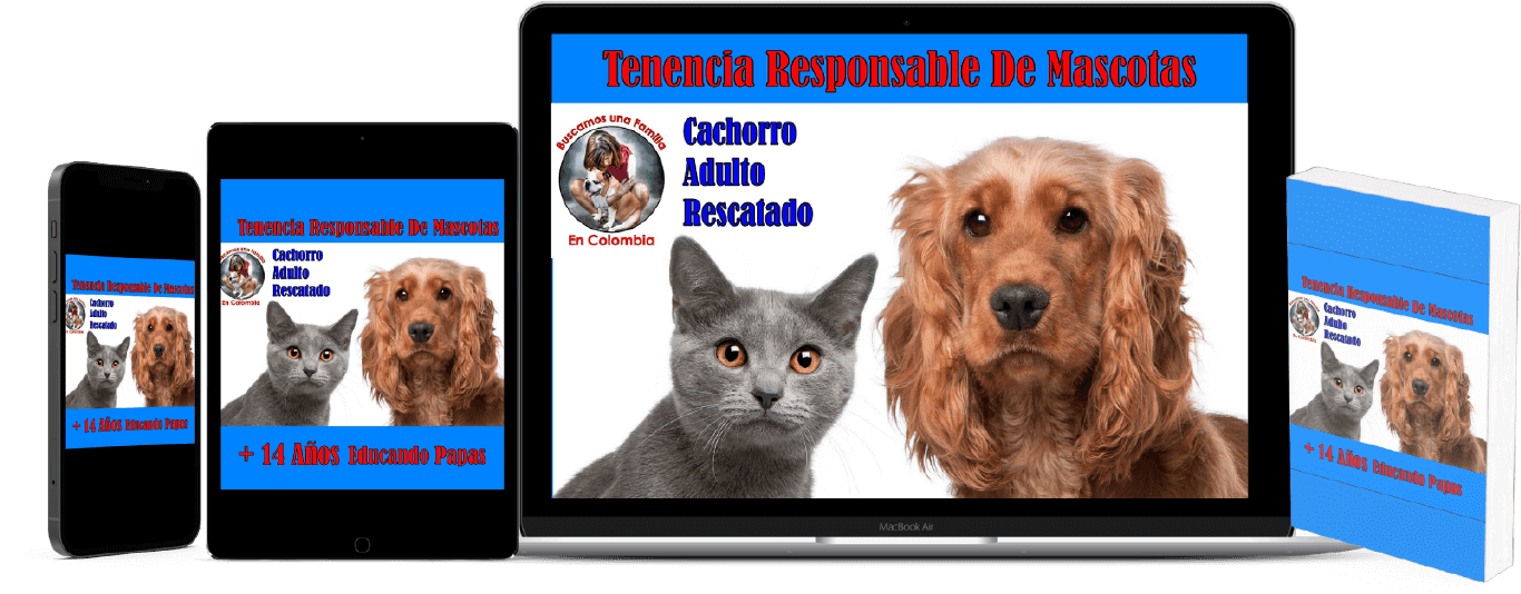 mockup-tiny-ultomo-1 (1)