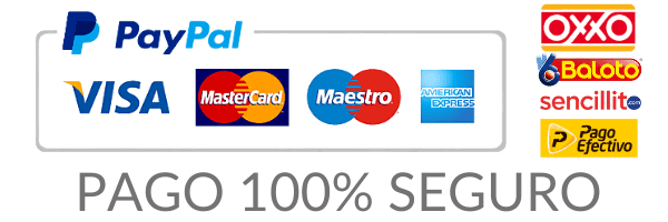 pago-seguro (1)